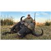 Image 1 : South Africa Buffalo and Kudu Safari for 2 Hunters