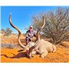 Image 3 : South Africa Buffalo and Kudu Safari for 2 Hunters