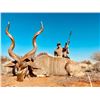 Image 4 : South Africa Buffalo and Kudu Safari for 2 Hunters