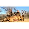 Image 2 : Namibia Safari with 6 Trophies for 2 Hunters