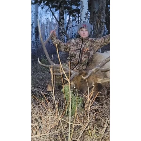 Utah Backcountry Elk Hunt for 2 Hunters