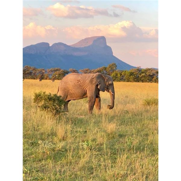 South Africa Photo Safari for Two People