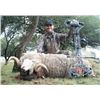 Image 2 : Argentina Blackbuck, Rams, and Boar 5 Days, 2-4 Hunters