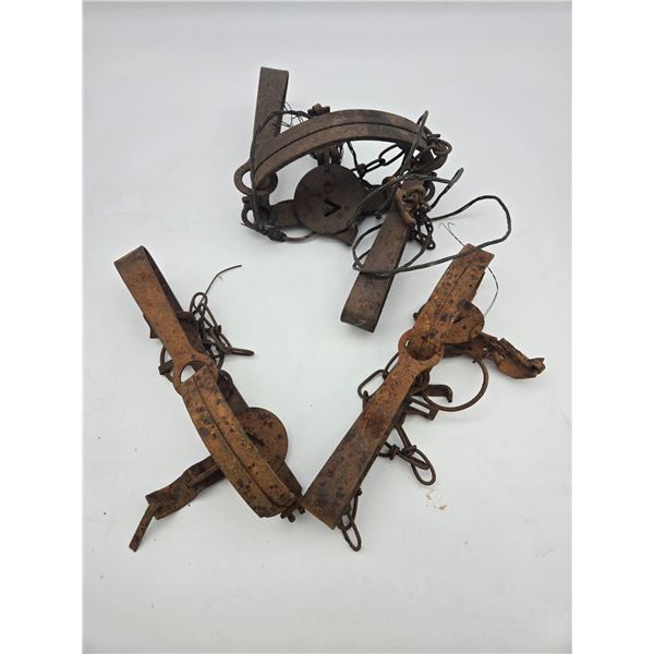 3 larger leg hold traps