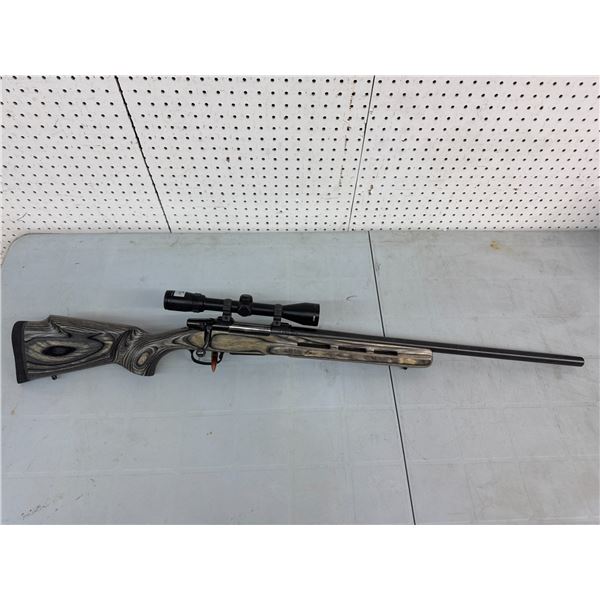 CZ 550 22-250 (k17-13)