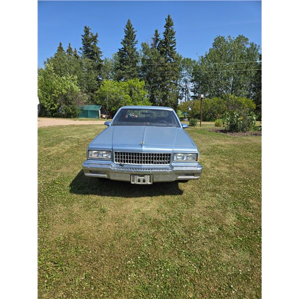 1979 Chevrolet Caprice