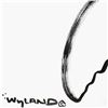 Image 2 : Turtle by Wyland Original
