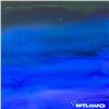 Image 2 : Untitled by Wyland Original