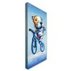 Image 2 : Biking Brothers by Wang, ZhiWu