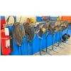 Image 2 : 8 INDUSTRIAL STANDING FANS AND 2 SMALL NOMA HEATERS