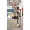 Image 2 : IMA IGM 30-8 HEAVY DUTY ELECTRIC VARIABLE SPEED FLOOR STANDING DRILL PRESS, 220 VOLT