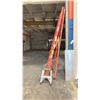 Image 1 : WERNER 10' LADDER AND FEATHERLIGHT 1' LADDER