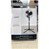 Image 2 : SHELF OF OSCILLATING FANS
