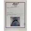 Image 1 : Steve Winwood Arc of a Diver signed album
