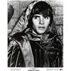 Image 1 : Romeo and Juliet Leonard Whiting signed movie photo