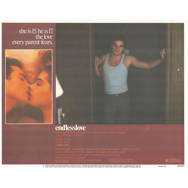 Endless Love _x000d_ 1981 original vintage lobby card