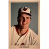 Image 1 : Baltimore Orioles Joesph Orsulak baseball trading card