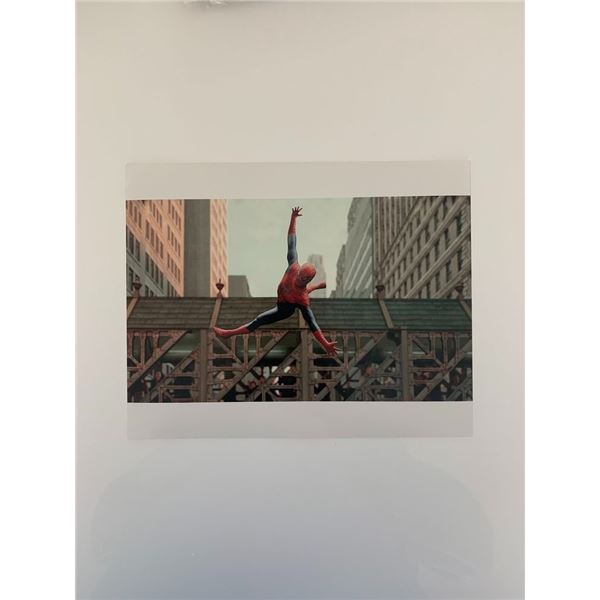 Spider-Man 8x10 photo unsigned