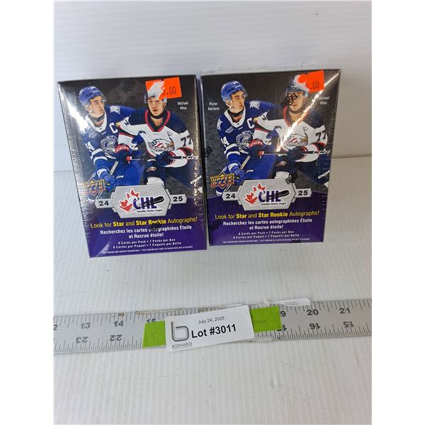 (2) Packs of Upper Deck Hockey Cards, Sealed