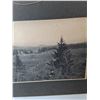 Image 2 : Vintage Photo of Children in Forest 13.75" x 10"