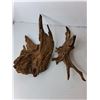 Image 3 : (5) Pieces of Driftwood Up to 19" Long