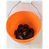Image 2 : Home Depot Bucket Full  Of Hockey Pucks - Cannot Ship