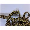 Image 4 : (2) 20FT WakeSurf Watersport Ropes Used