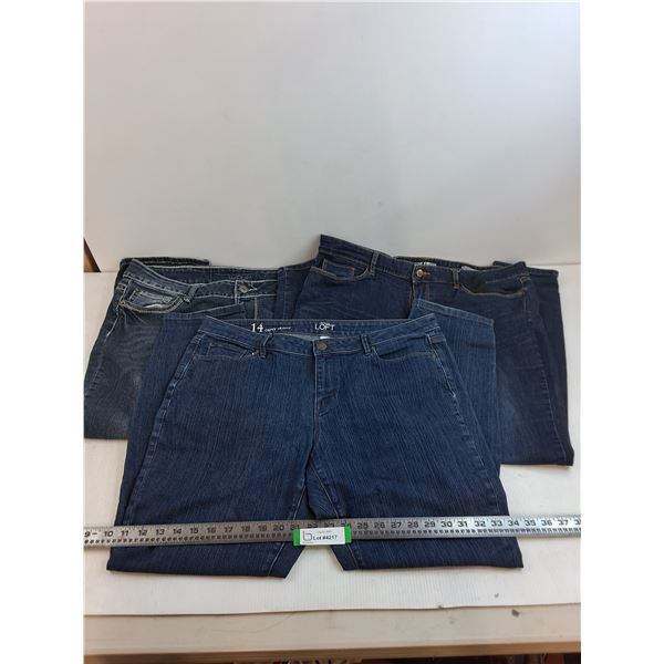 (3) Pairs of Women's Denim Jeans (Ann Taylor Sz14, WH1 Sz16, Joe Fresh 33/16)