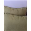 Image 3 : (2) Green Pillows & (2) Black Mats- 51" x 24"