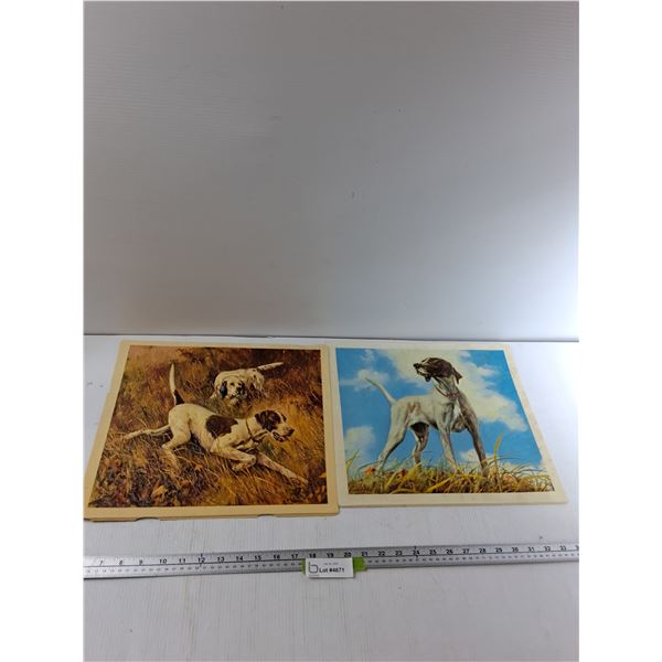 (2) 3-D Dog Pictures