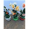 Image 3 : **(3) Decorative Wooden Flowers, Cannot Ship