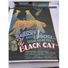 Image 3 : (2) Vintage 21" x 29" Movie Posters (Frankenstein & The Black Cat)