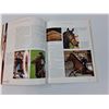 Image 3 : The Horse Riding & Care Handbook