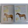 Image 4 : Horse Facts Hard Cover Book - By: Susan McBane & Helen Douglas-Cooper
