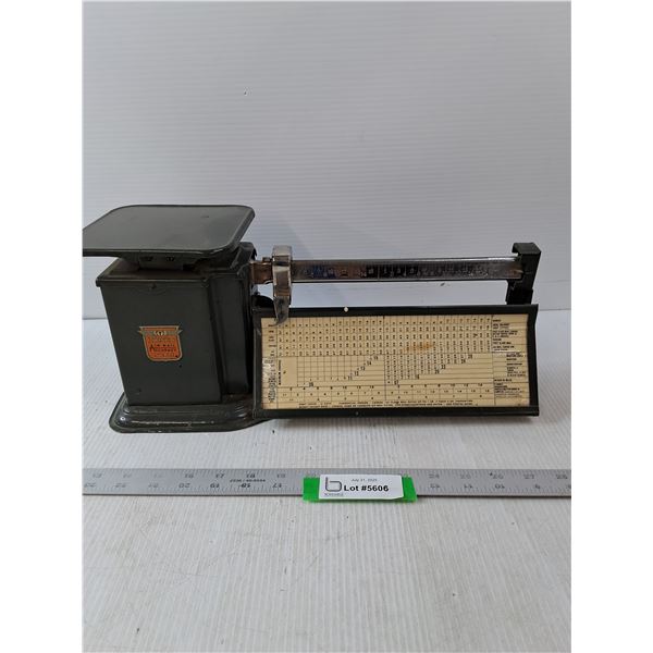 Trainer Air Mail Accuracy Scale- 15" x 7" x 6"