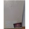 Image 2 : *Whiteboard - 47'' x 35'' As Is CANNOT SHIP