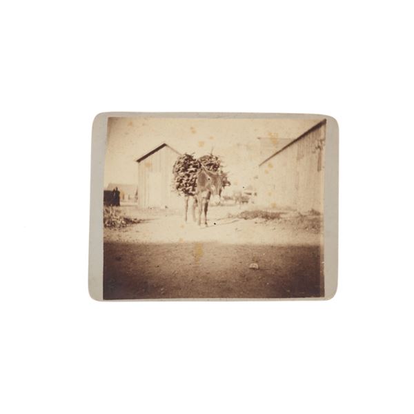 Ex-Dr Goodfellow Estate GUNFIGHT Area Boudoir Card