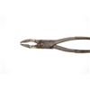 Image 17 : 1880-1920 Tombstone Dentistry Tools & Collectibles