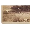 Image 7 : C.S. Fly "Silver Creek ARMY Camp" Cabinet Card