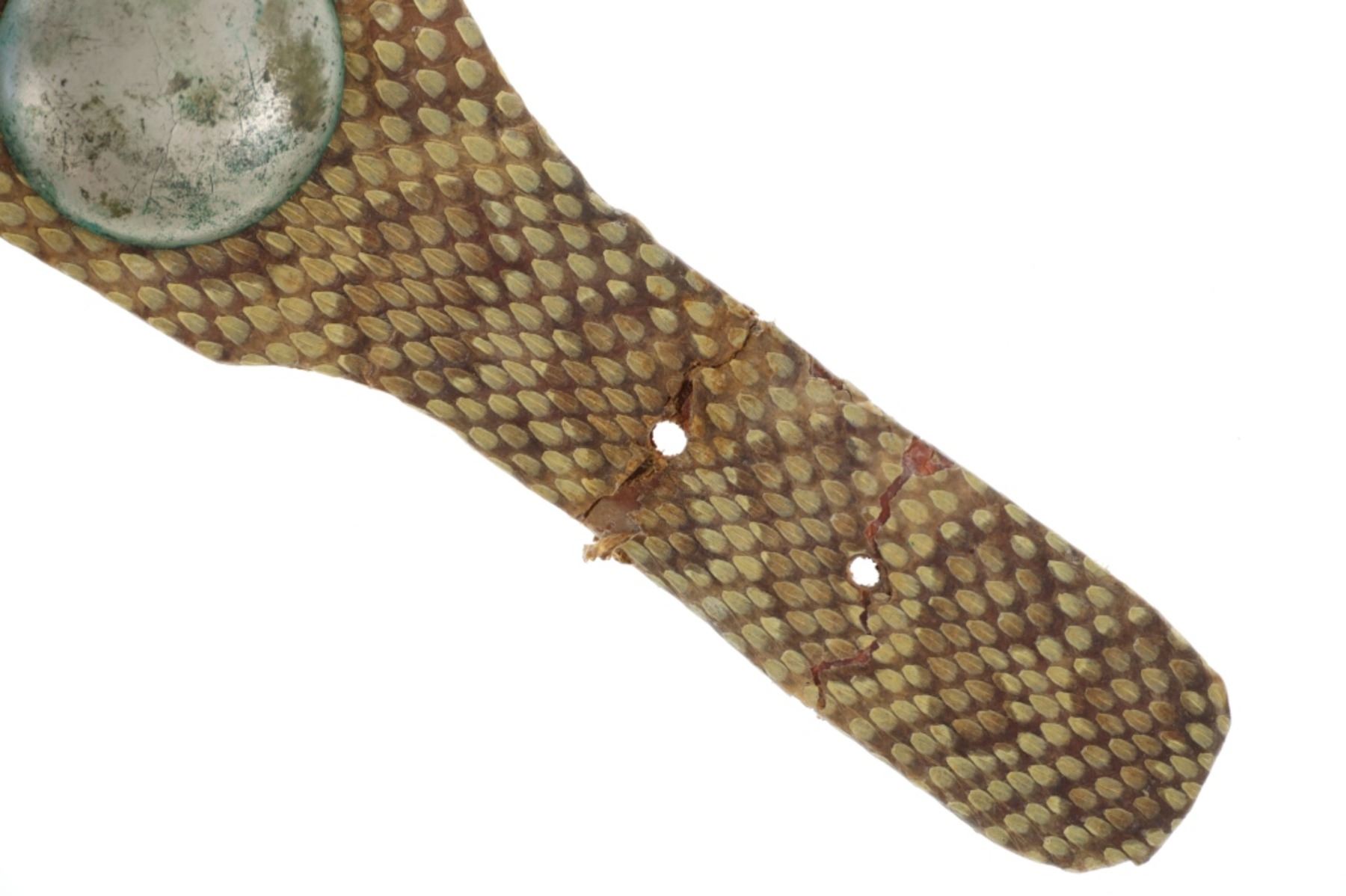 19th-century Comanche Concho Rattlesnake Belt RARE
