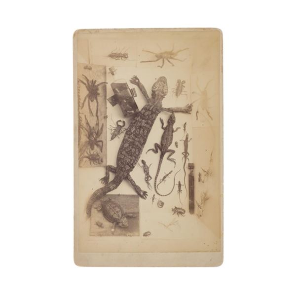 C.S. Fly Tombstone, Hafford Saloon Cabinet Card