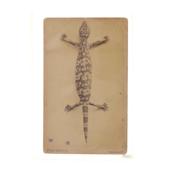 C.S. Fly "Critters" Cabinet Card Tombstone, A.T.