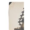 Image 3 : Rare Original Photograph of Josephine Earp 1895