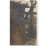 Image 5 : Rare Original Photograph of Josephine Earp 1895