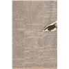 Image 7 : Tombstone Epitaph Newspaper December 18, 1881
