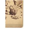 Image 5 : RARE C.S. Fly "Buckskin" Frank Leslie Cabinet Card