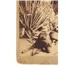 Image 6 : RARE C.S. Fly "Buckskin" Frank Leslie Cabinet Card