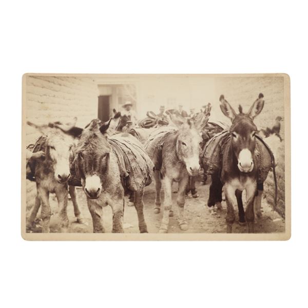 C.S. Fly "Stagecoach Robbery Posse" Vendetta Ride