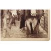 Image 4 : C.S. Fly "Stagecoach Robbery Posse" Vendetta Ride