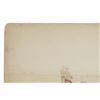 Image 4 : C.A. 1886 C.S. Fly "Rifle Drill: Fort Huachuca